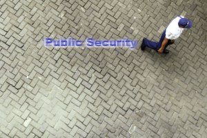 public security