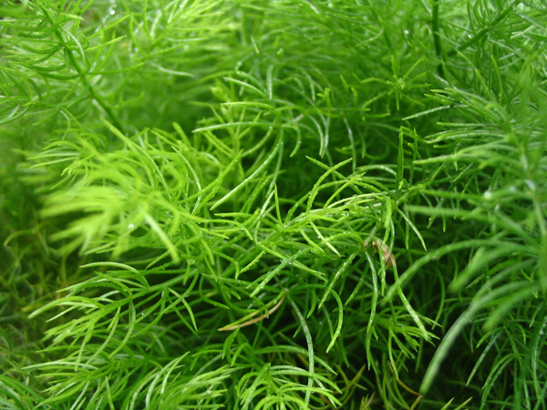 IMG_1162prev IMG_1162prev