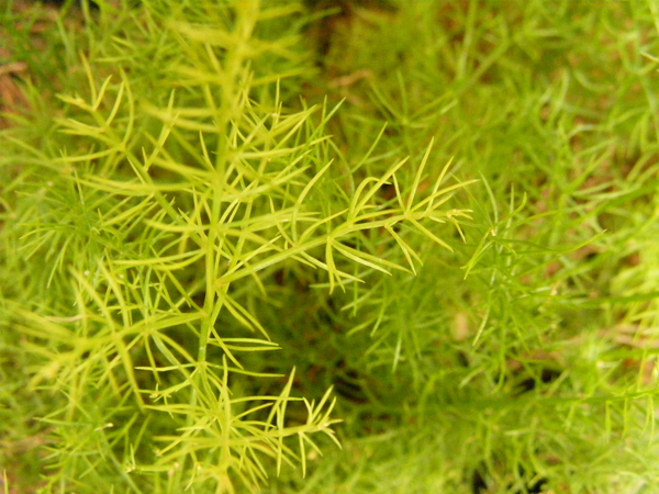 dscf1055prev dscf1055prev