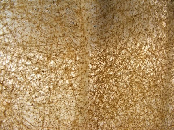 Fiber 2