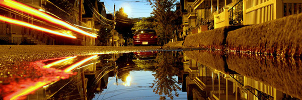puddlereflection