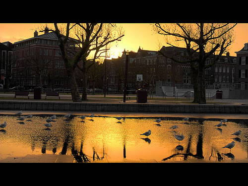 Sunrise