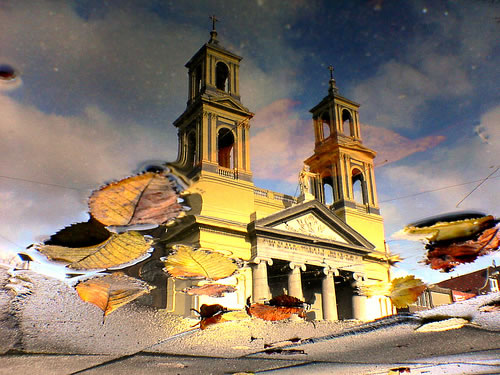 Reflections Of Amsterdam - Puddle Saint