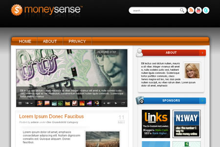 Money Sense New Personal Blog Free Premium WordPress Theme