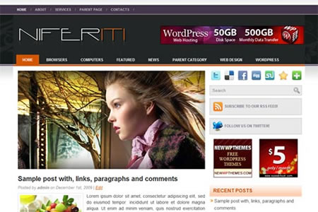Post Thumbnail of 17 New Wordpress Themes of 2010