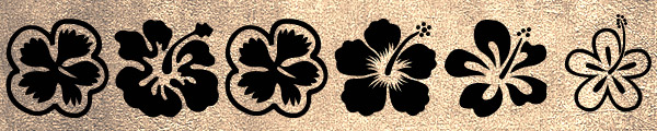 14-hibiscus 14-hibiscus