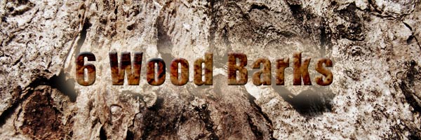 wood_bark wood_bark