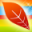 crazyleafdesign