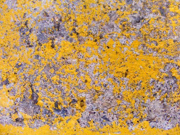 DSCF5014s yellow concrete texture 5