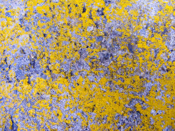 DSCF5015s yellow concrete texture 6