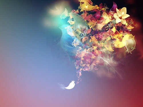 birds__by_kamilk birds__by_kamilk