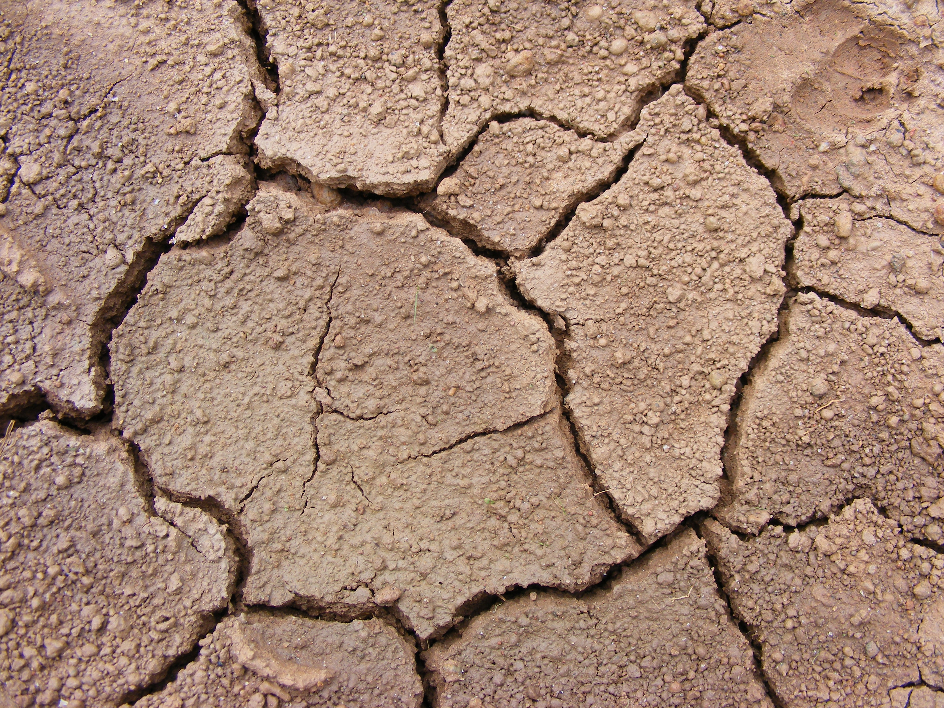 cracked dirt texture
