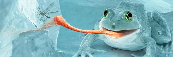 19-fresh-and-quality-photo-manipulation-tutorials-in-photoshop