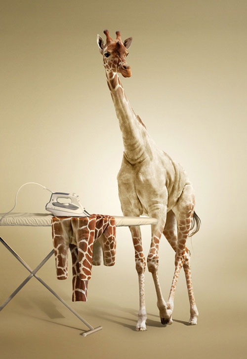 Giraffe_tutorial_600 Giraffe_tutorial_600