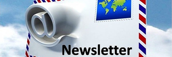 wordpress-newsletter-usability-guidelines